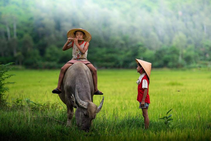 Hotspot Matrix: Đòn bẩy thành công cho doanh nghiệp video ngắn của bạn