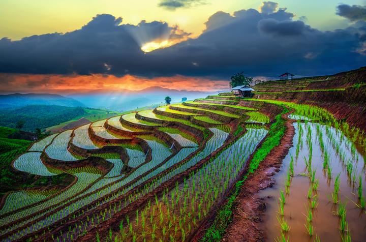 Sốc nặng với