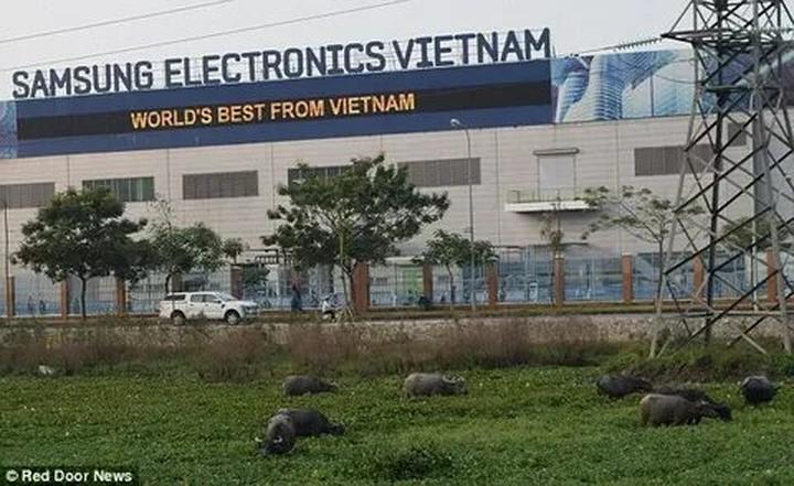 Chấm điểm loạt “green flags” - Cảm hứng video marketing từ Hotspot Matrix